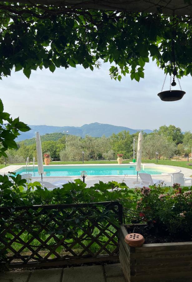 The Forest House Isernia Exterior photo